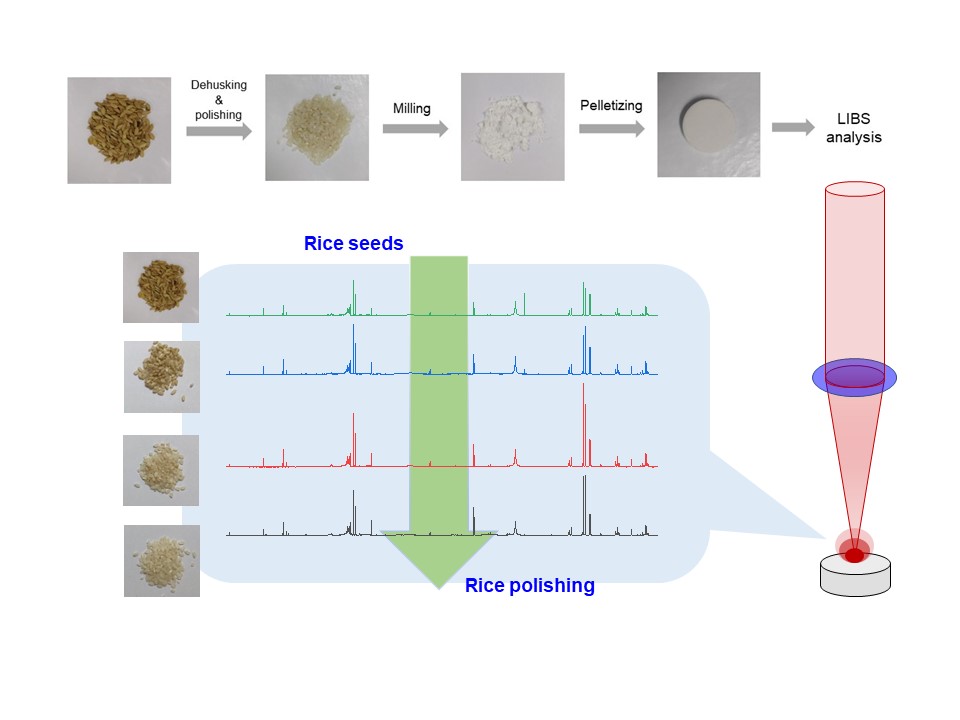 AST-2023-030_R1_P_Graphical Abstract_001.jpg